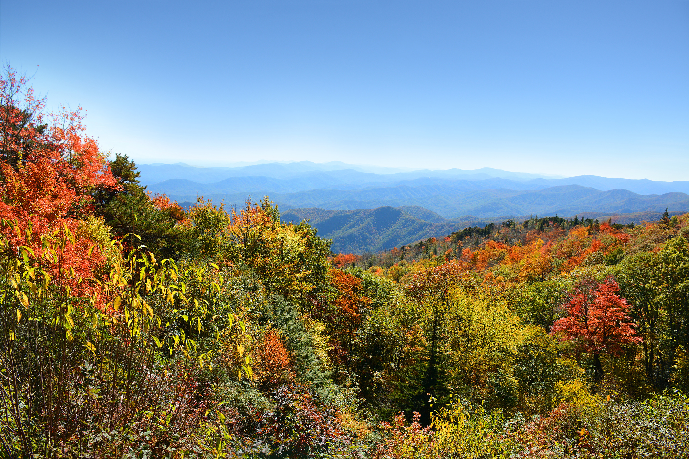 Beautiful autumn mountain range  landscape.